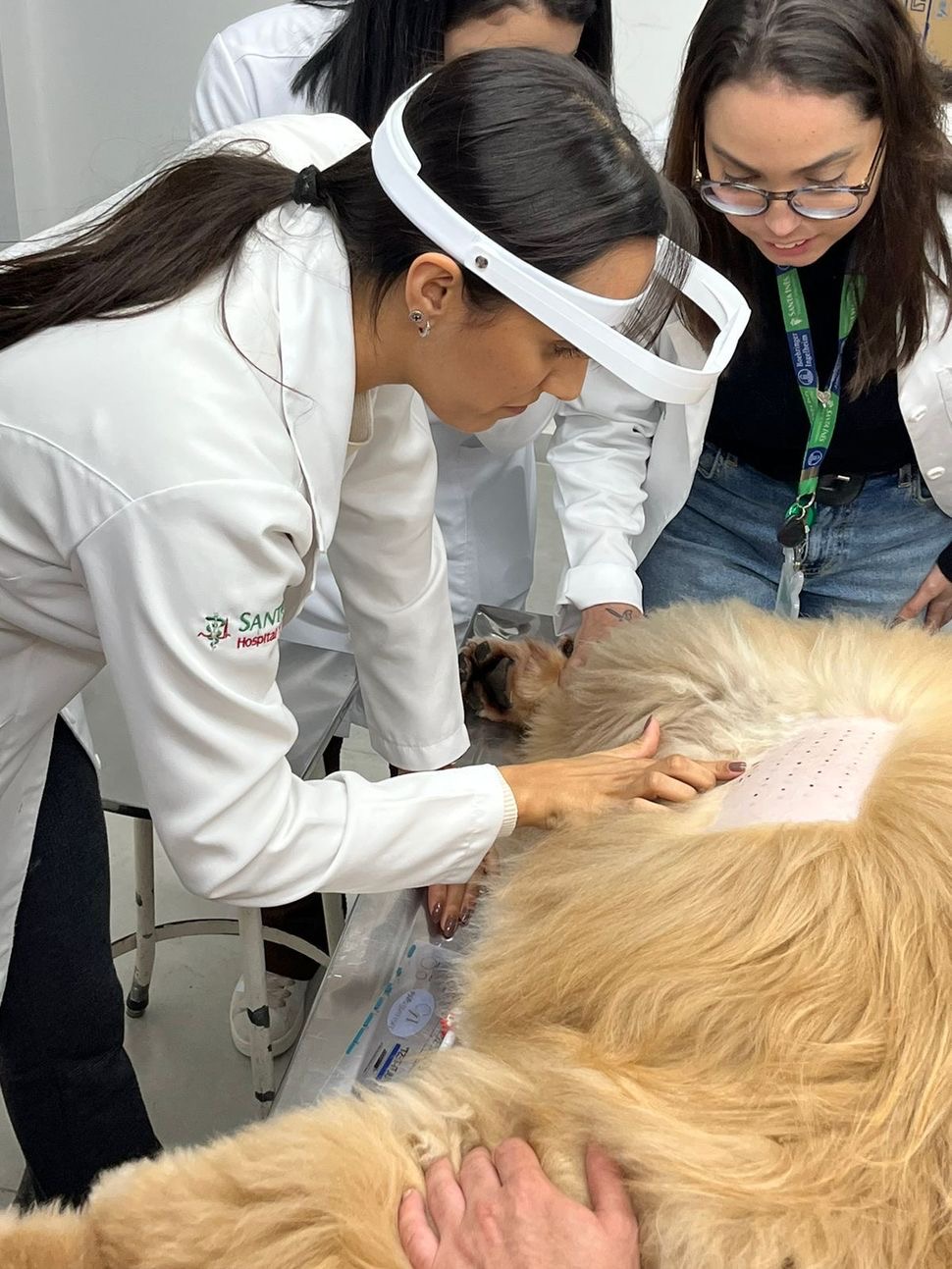 Santa Care Vet